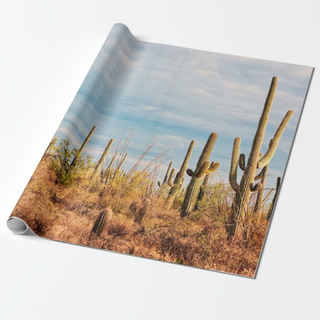 Wüste mit Saguaro cacti Geschenkpapier (Ungerollt)