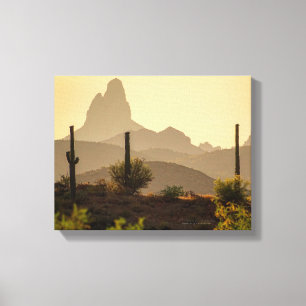 Wüste Mountain Weaver's Needle Arizona USA 1411 Leinwanddruck