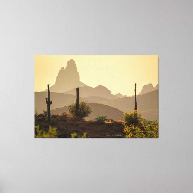 Wüste Mountain Weaver's Needle Arizona USA 60x40 Leinwanddruck (Vorderseite)
