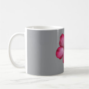 Wüste-Rose (Adenium) mit Single Kaffeetasse