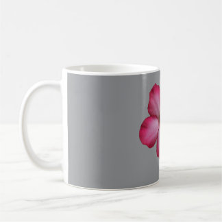 Wüste-Rose (Adenium) mit Single Kaffeetasse