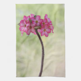 Wüste-Rose in Rosa Küchentuch