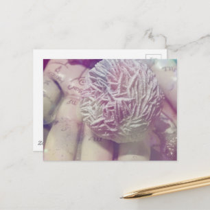 Wüste-Rose Postkarte