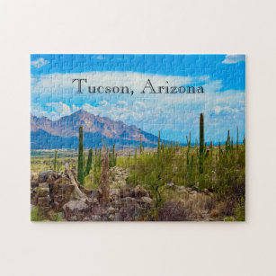 Wüste Südwest Tucson Arizona