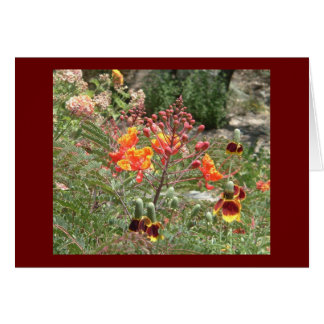 Wüste südwestliche Blume