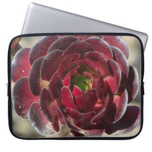 Wüste Sukkulentes Foto Gardener Roter Garten Pflan Laptopschutzhülle