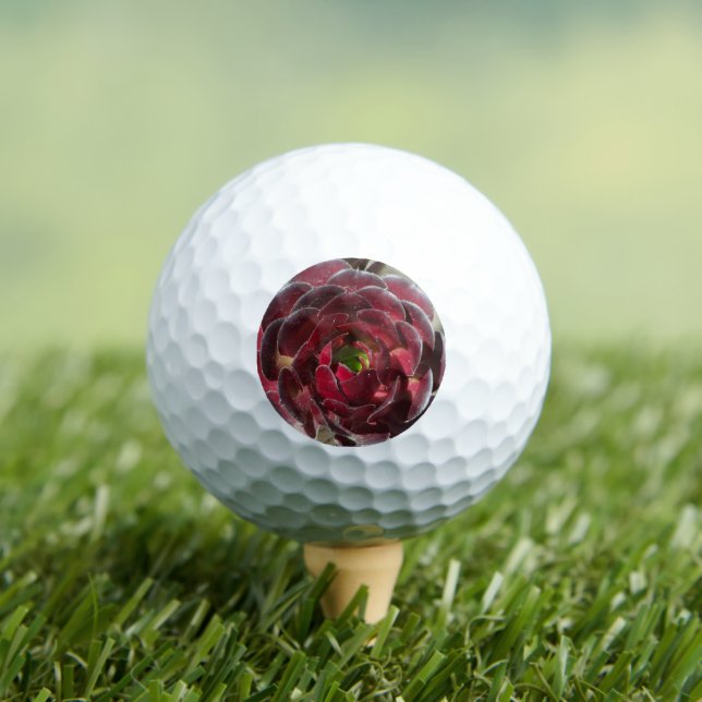 Wüste Sukkulentes Foto Roter Garten Pflanze Golfball (Insitu T-Shirt)
