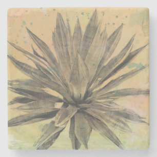 Wüste träumt   grüne Pflanze Steinuntersetzer