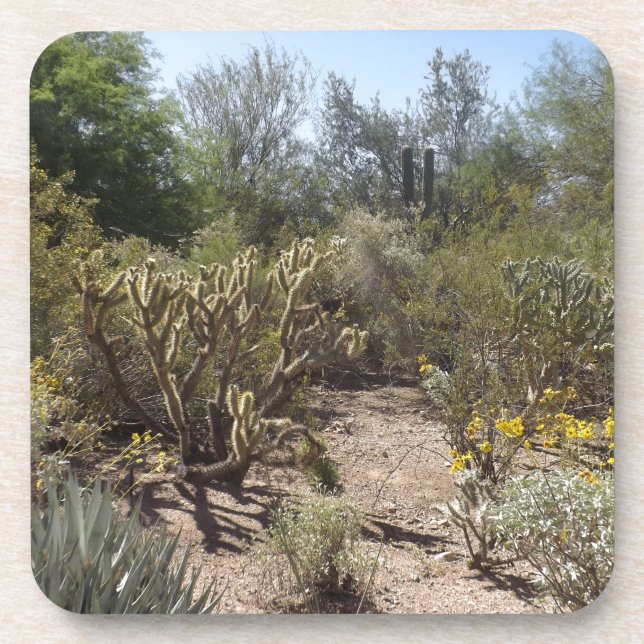 Wüste Untersetzer (Vorderseite)