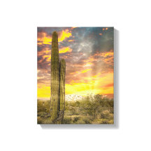 Wüste von Arizona 2706 bei Sonnenuntergang