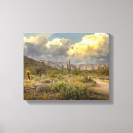 Wüste von Arizona 2729 mit Bergen, Kakteen, Wolken Leinwanddruck