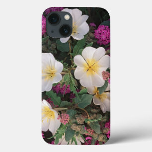 Wüsten-Abendprimel und Wüsten-Sand-Verbena, Case-Mate iPhone Hülle