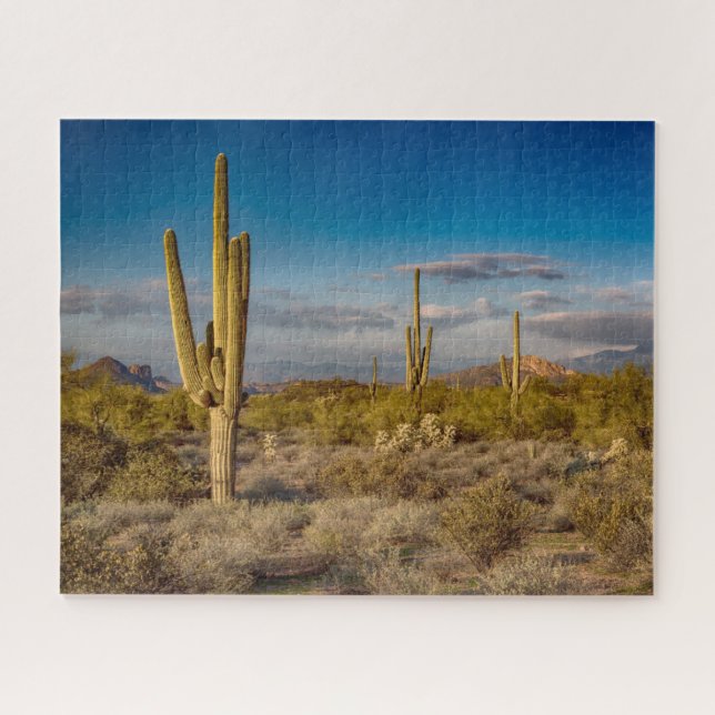 Wüsten | Aberglaube, Arizona (Horizontal)