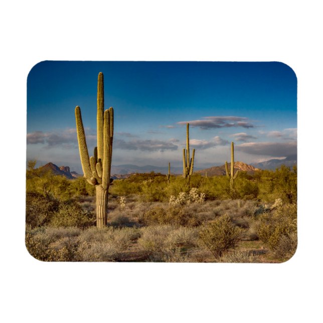 Wüsten | Aberglaube, Arizona Magnet (Horizontal)