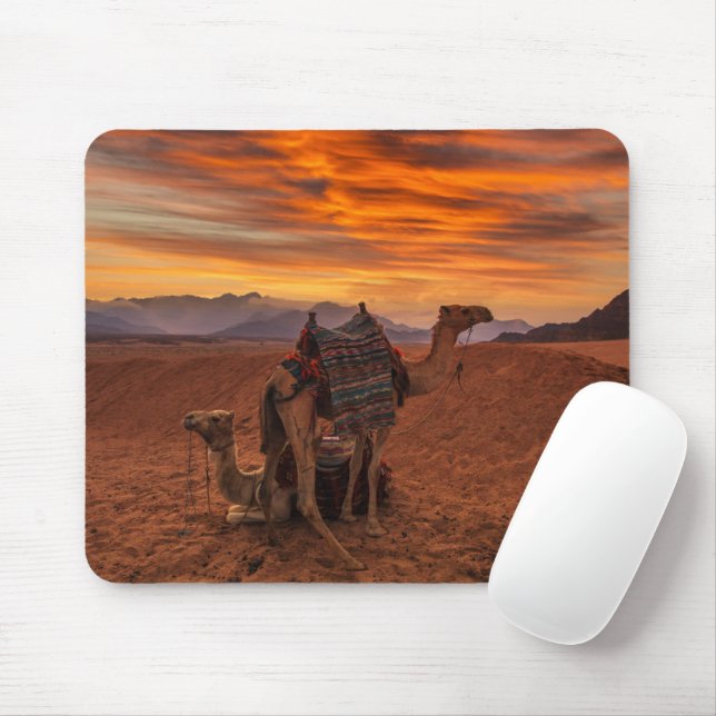 Wüsten | Bactrian Camel Egypt Sand Dune Mousepad (Mit Mouse)
