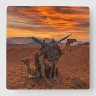 Wüsten   Bactrian Camel Egypt Sand Dune Quadratische Wanduhr