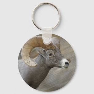 Wüsten-Bighorn-RAM Schlüsselanhänger