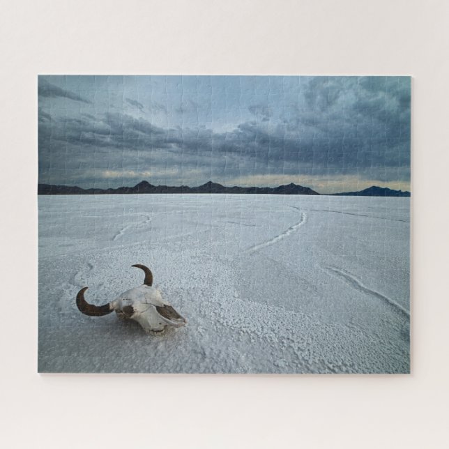 Wüsten | Bonneville Salt Flats Utah (Horizontal)