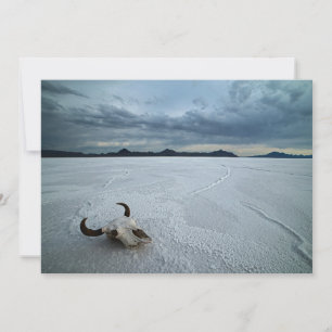 Wüsten   Bonneville Salt Flats Utah Dankeskarte