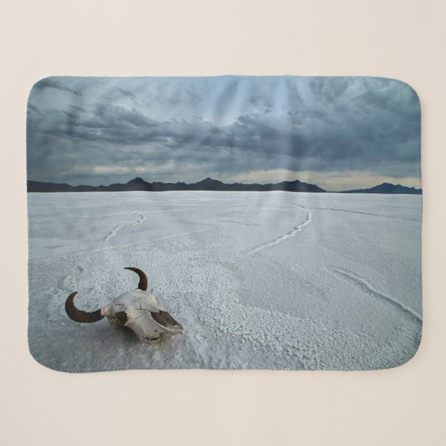 Wüsten | Bonneville Salt Flats Utah Sherpadecke (Vorderseite (Horizontal))