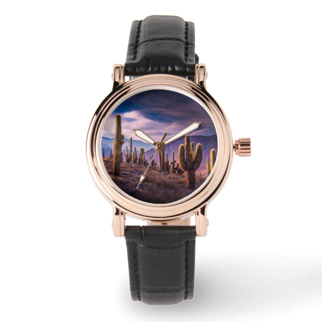 Wüsten | Cactus Landscape Argentinien Armbanduhr (Vorderseite)