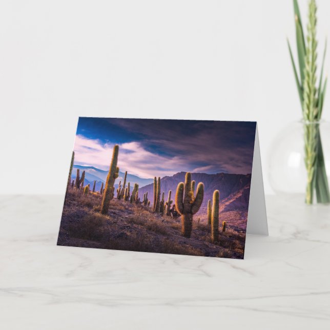 Wüsten | Cactus Landscape Argentinien Karte (Vorderseite)