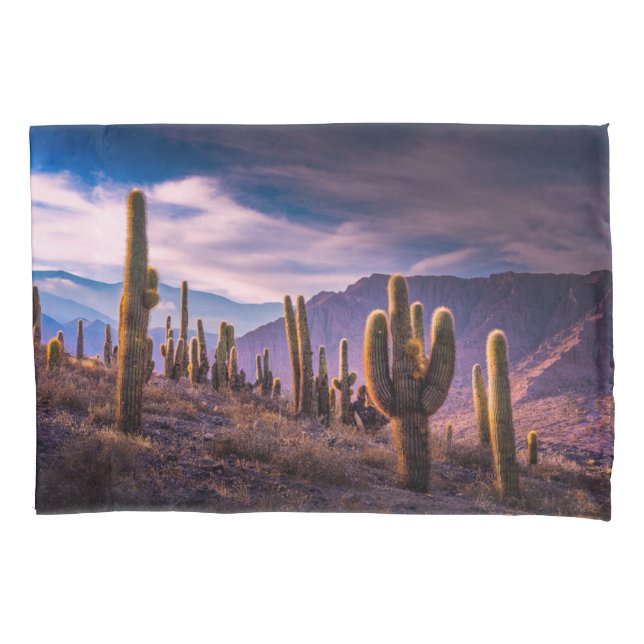 Wüsten | Cactus Landscape Argentinien Kissenbezug (Vorderseite)