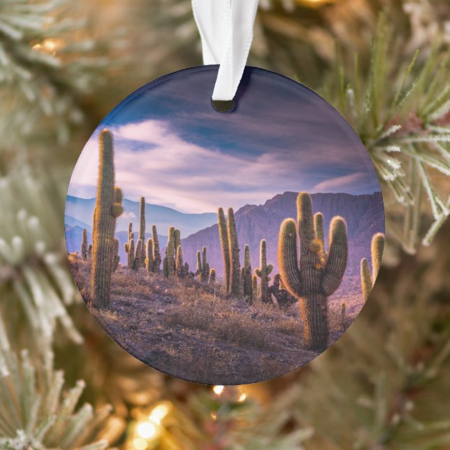Wüsten | Cactus Landscape Argentinien Ornament (Baum)