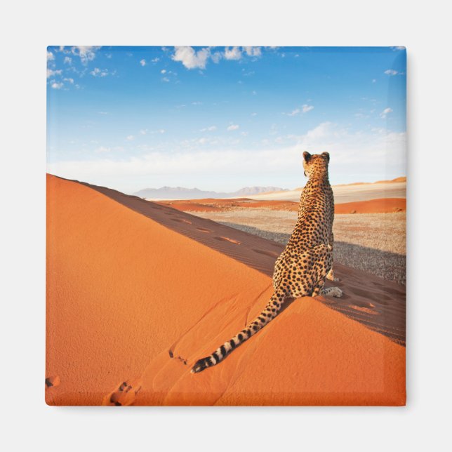 Wüsten | Cheetah Savannah Wüste Magnet (Vorne)
