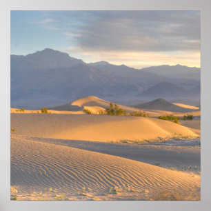 Wüsten-Dämmerung Poster