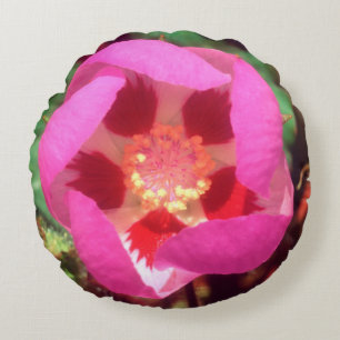 Wüsten-Fünf-Tupfen-Wildblume Rundes Kissen