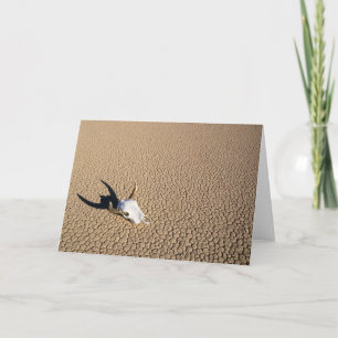 Wüsten   Kuhschädel auf dem Wüstenboden Karte