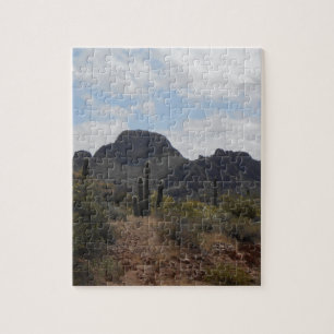 Wüsten-Landschaft