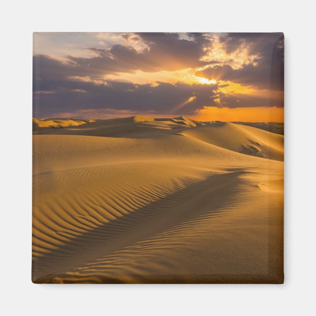 Wüsten | Landschaft der Sanddünen Magnet (Vorne)