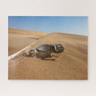 Wüsten Namaqua Chameleon in der Wüste