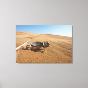 Wüsten   Namaqua Chameleon in der Wüste Leinwanddruck