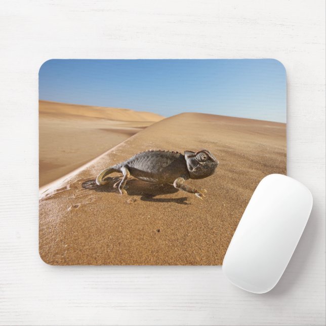Wüsten | Namaqua Chameleon in der Wüste Mousepad (Mit Mouse)