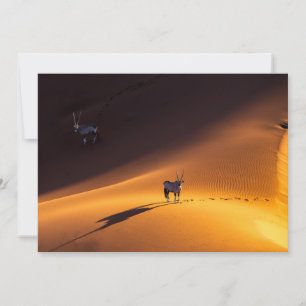 Wüsten   Namib Naukluft National Park Kenya Dankeskarte