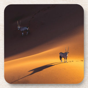 Wüsten   Namib Naukluft National Park Kenya Getränkeuntersetzer