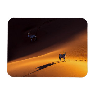 Wüsten   Namib Naukluft National Park Kenya Magnet