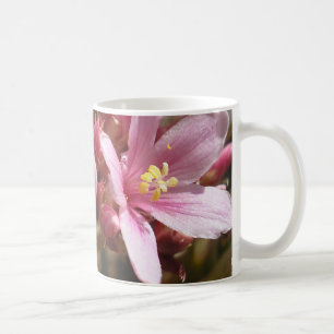 Wüsten-Rosa - Tasse #1