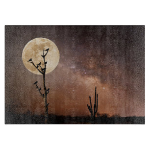 Wüsten   Saguaro Kaktus mit Vögeln in der Wüste Schneidebrett
