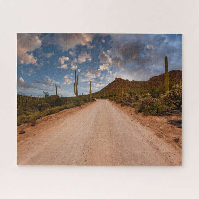 Wüsten | Saguaro Nationalpark Arizona (Horizontal)
