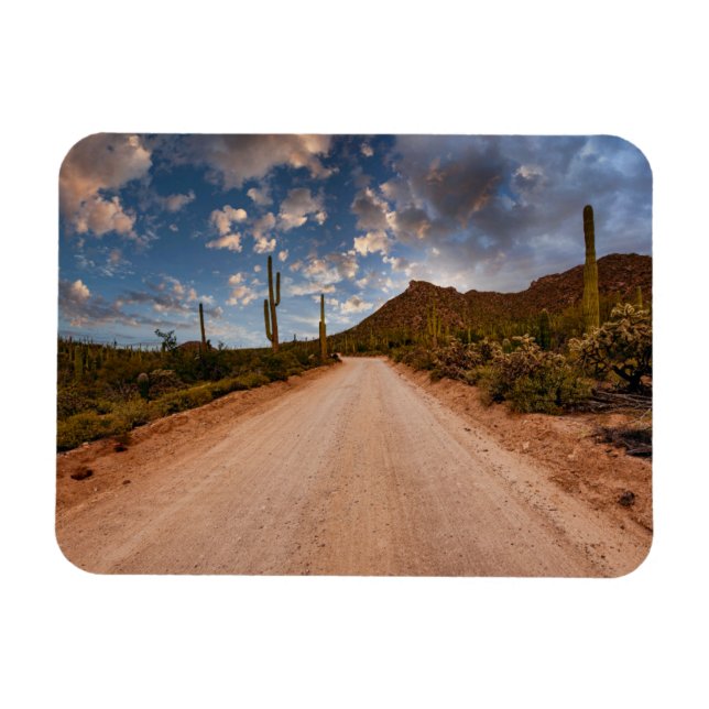 Wüsten | Saguaro Nationalpark Arizona Magnet (Horizontal)