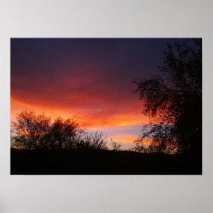 Wüsten-Sonnenuntergang 21 x 15 Arizonas Sonoran Poster