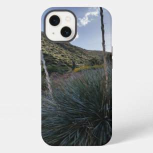 Wüsten-Südwest-Sotol-Pflanzen - Bild aus Arizona iPhone Hülle
