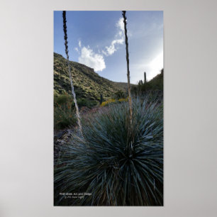 Wüsten-Südwest-Sotol-Pflanzen Landschaftsbild Ariz Poster