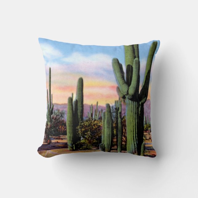 Wüsten-Szene Arizonas Sonoran Kissen (Vorderseite)