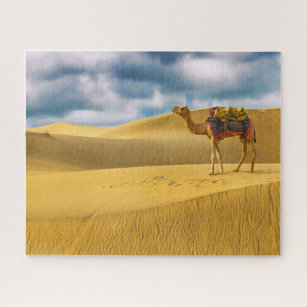 Wüsten   Thar Desert Rajasthan India Camel