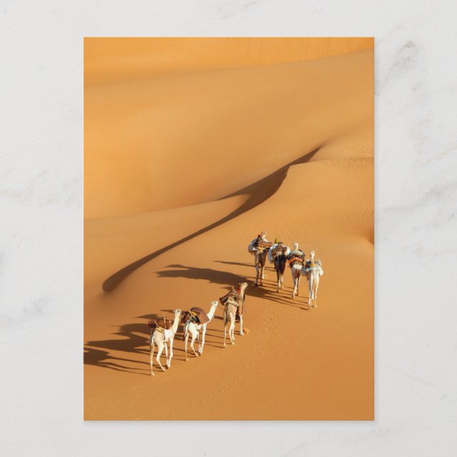 Wüsten | Tuareg Walk mit Kamellen Postkarte (Vorderseite)